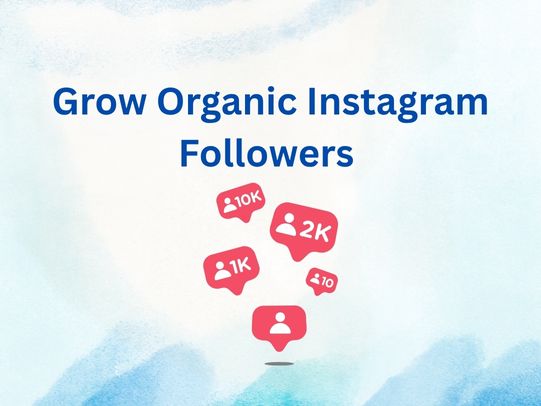 Grow Organic Instagram Followers